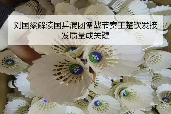 刘国梁解读国乒混团备战节奏王楚钦发接发质量成关键